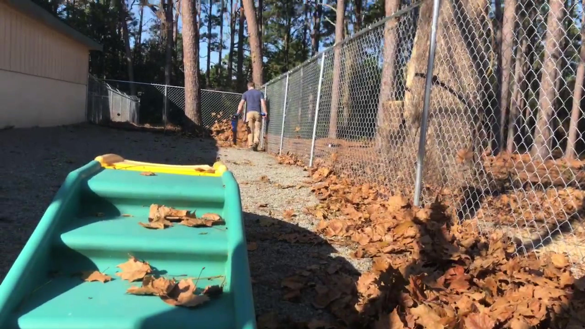 Doggie daycare at Pinehurst Animal Hospital in Southern Pines NC